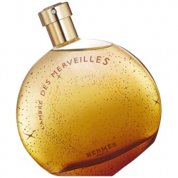 Hermes L'Ambre Des Merveilles 100 ml EDP Tester