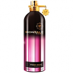 Montale Starry Nights 100 ml EDP Tester