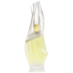 DKNY Cashmere Mist 100 ml EDT
