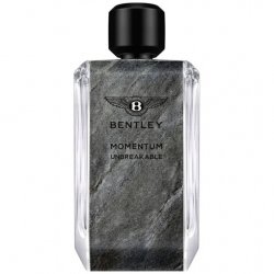 Bentley Momentum Unbreakable 100 ml EDP